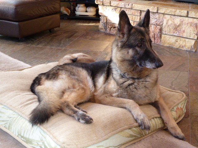 Jamie at rest