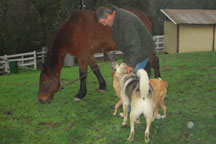With the good trotter, River City Storm
