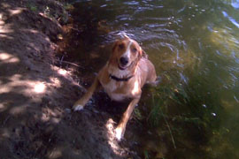 Sandy (river) bank