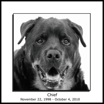 Chief