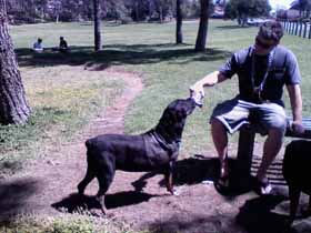 Deacon