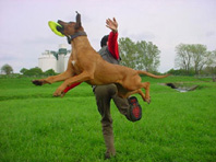 Ziyal, Flying Fur