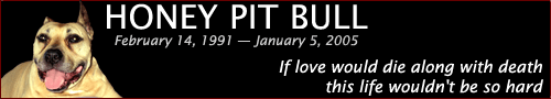 Honey Pit Bull, 2005