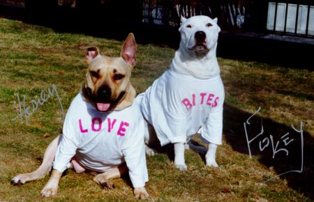 Love Bites 1999 - Honey and Pokey