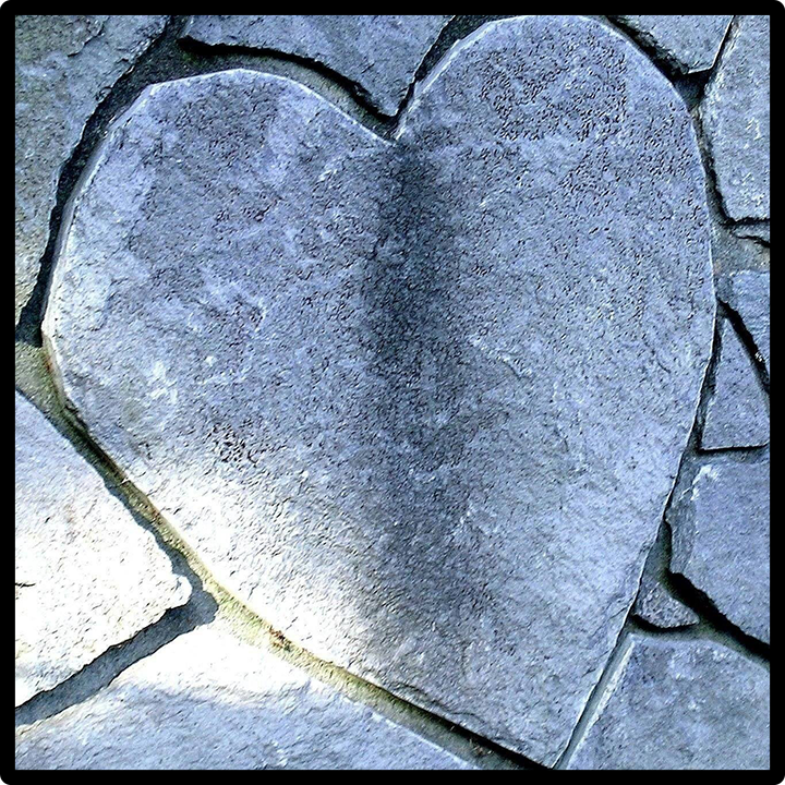 Honey's Heart of Stone