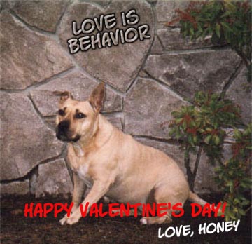 Honey's Valentine Greeting - 2000