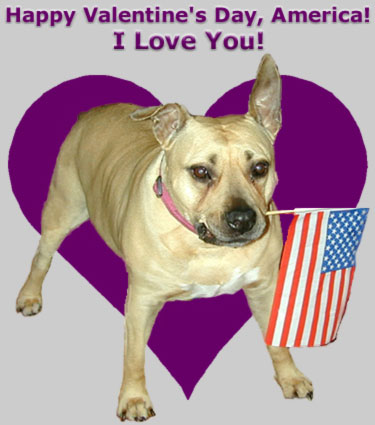 Happy Valentine's Day America!