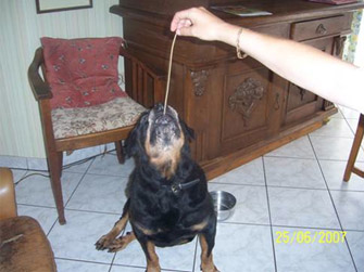 Chinese food ain´t only for Neos
.