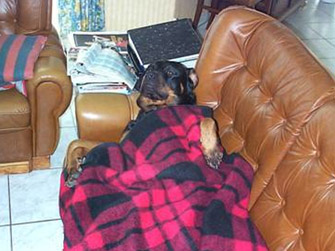 Couch potato-ing