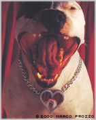 Jax and her Valentine