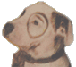Petey