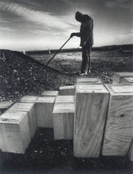 Prison inmates from Rikers Island bury infant coffins on Hart Island, New York City.