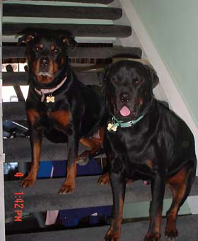 Maya and Deacon
