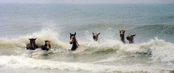 Mine-Shaft Ponies