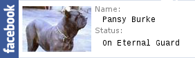Pansy Burke