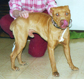 Petey - Day One
