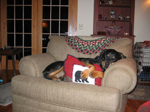 Sophie Napping