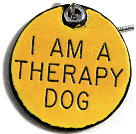 Honey Pit Bull's dog tag