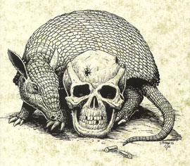 Veil's Visit cover illustration by Timothy Truman