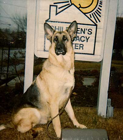 Vachss the German Shepard